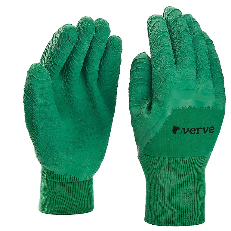 Castorama Gants De Jardinage Enduit Latex Vert Verve - Taille 8 (M) 1 Castorama Gants De Jardinage Enduit Latex Vert Verve - Taille 8 (M)